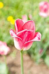 Similar image 188143