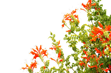 Similar image 188163