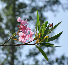 Similar image 188188