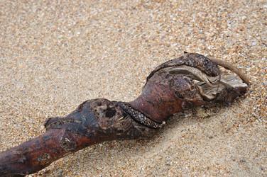 Similar image 188191