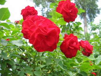 Similar image 188282