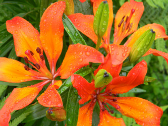 Similar image 188291