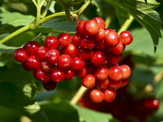 Similar image 188292