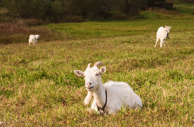 Similar image 188300