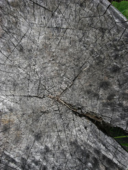 Similar image 188316