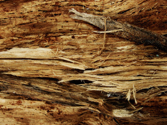 Similar image 188320