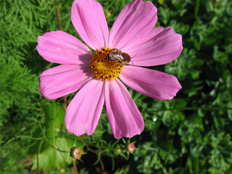 Similar image 188343