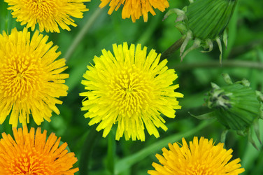 Similar image 188346