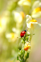 Similar image 188351