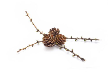 Similar image 188363