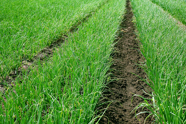 Similar image 188376