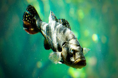 Similar image 188377