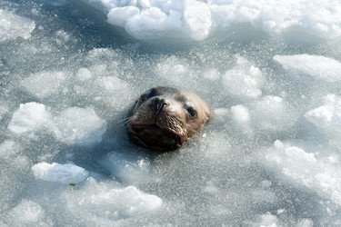 Similar image 188456