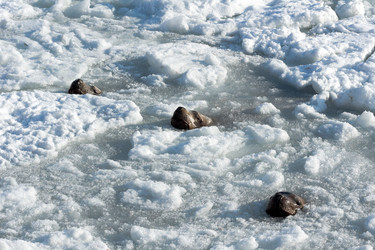 Similar image 188457