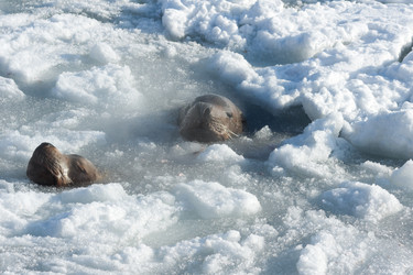 Similar image 188458