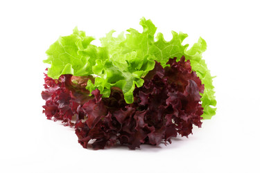 Similar image 188482