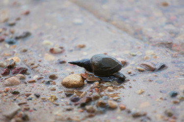 Similar image 188489