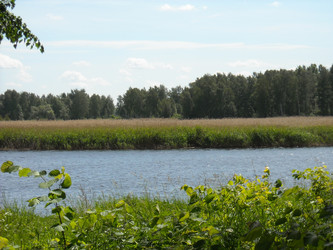 Similar image 188493