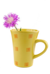 Similar image 188594