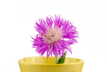 Similar image 188595