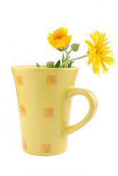 Similar image 188596