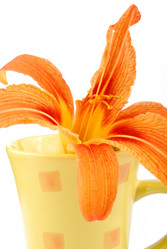 Similar image 188597