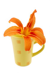 Similar image 188598