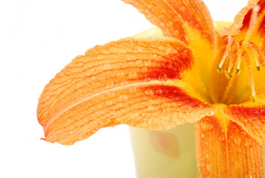 Similar image 188600