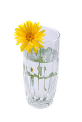 Similar image 188606