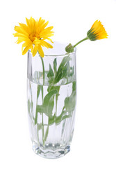 Similar image 188608