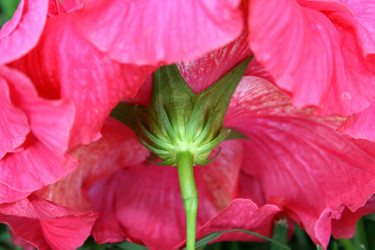 Similar image 188617