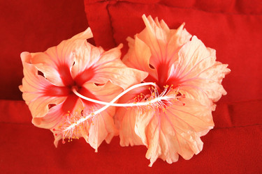 Similar image 188629