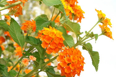 Similar image 188631