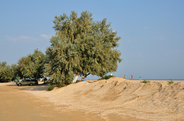 Similar image 188633