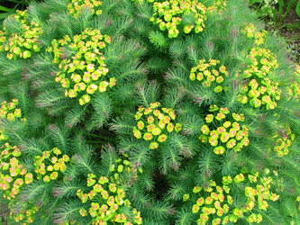 Similar image 188639