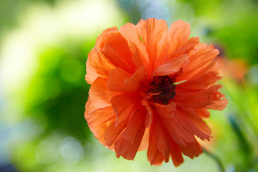 Similar image 188647