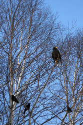 Similar image 188650