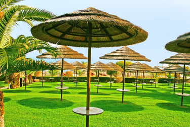 Similar image 188674