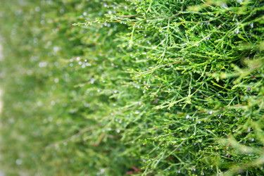 Similar image 188678