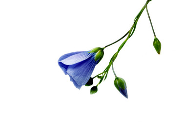 Similar image 188690