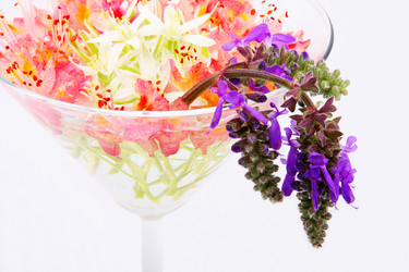 Similar image 188693