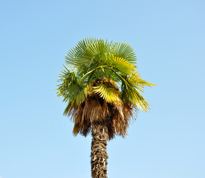 Similar image 188868