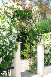 Similar image 188915