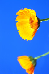 Similar image 188954