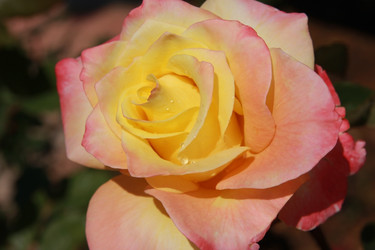 Similar image 188956