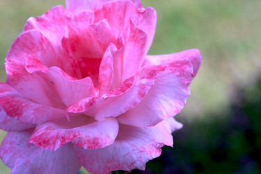 Similar image 188957