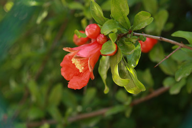 Similar image 188958