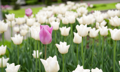 Similar image 188959