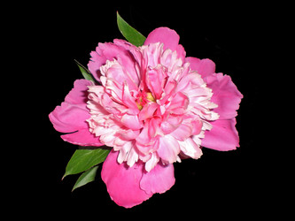 Similar image 188960