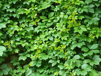 Similar image 188968